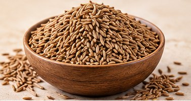 Cumin Seeds in a bowl, illustrative agricultural commodity photograph