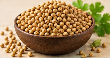 Coriander Seeds in a bowl, illustrative agricultural commodity photograph
