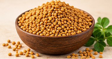 Fenugreek Seeds in a bowl, illustrative agricultural commodity photograph