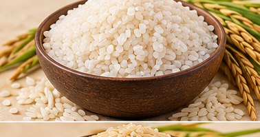 Sona Masoori Rice in a bowl, illustrative agricultural commodity photograph