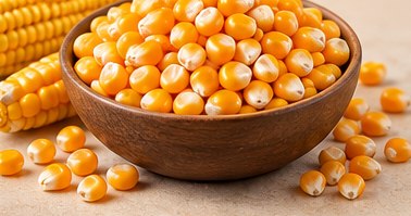Maize in a bowl, illustrative agricultural commodity photograph
