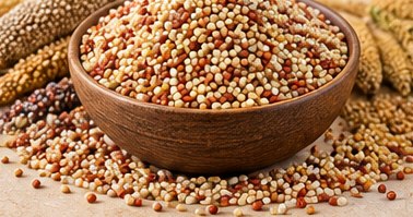 Mixed Millets in a bowl, illustrative agricultural commodity photograph